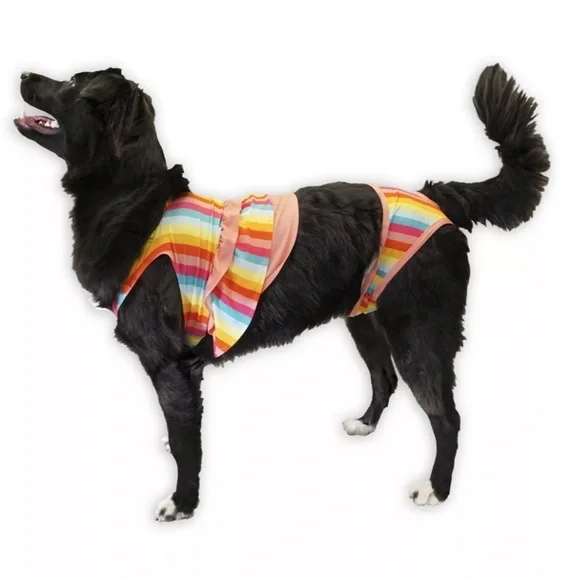 🆕Stripped Multicolor Woof Bathing Suit for Dogs S🆕 - Picture 1 of 8